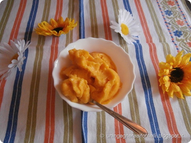 mango albicocca apricot gelato sorbetto senza latte senza uova senza gelatiera sorbet ice-cream