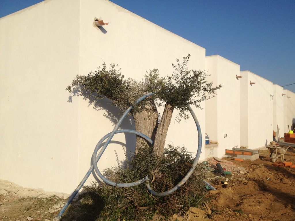 [IMG_0558%255B3%255D.jpg]