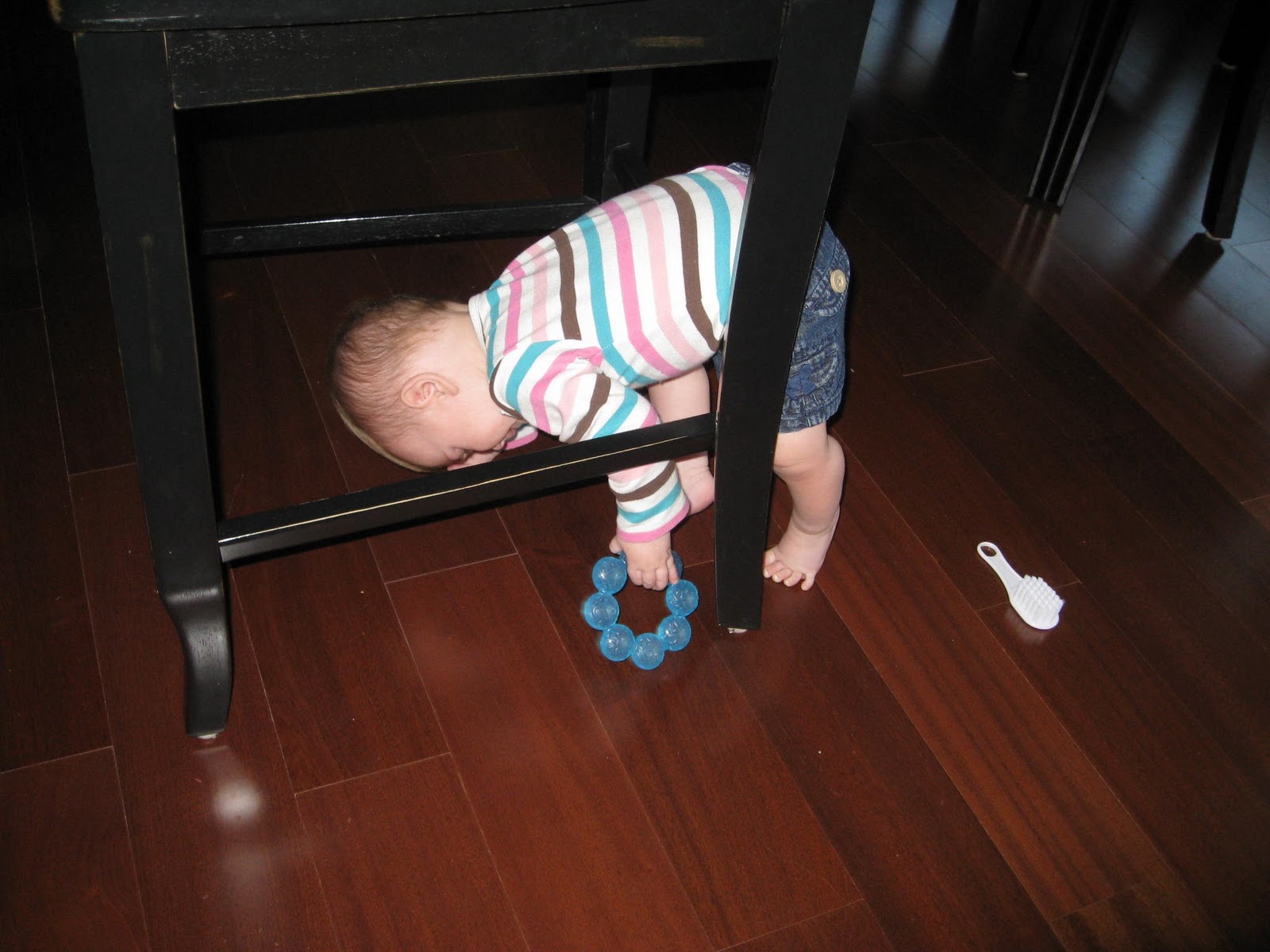 [IMG_3040%255B1%255D.jpg]