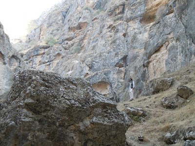 DSCN4011.jpg