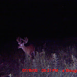 MDGC0250.JPG