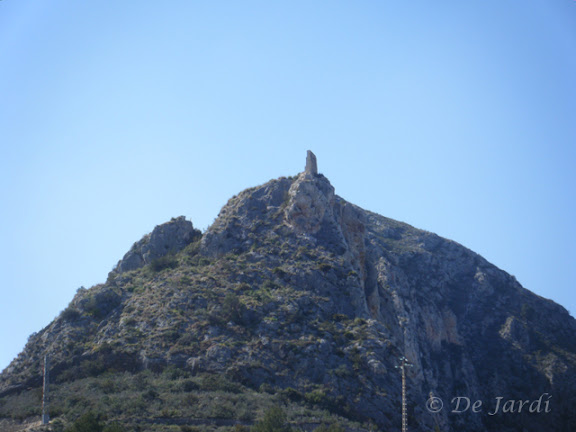 2012_03070002.jpg