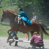 Vaulting