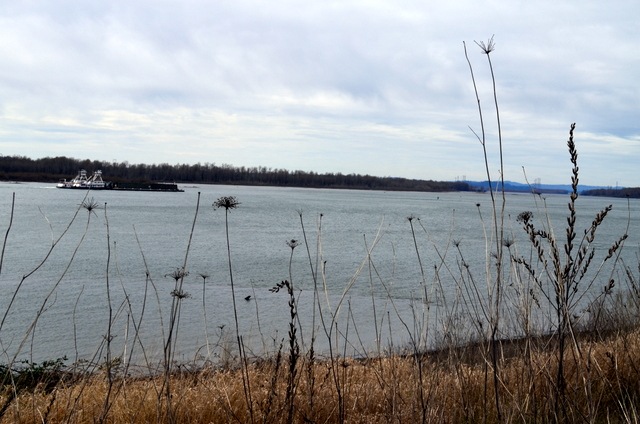 [DSC_0073%255B4%255D.jpg]