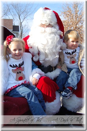 Reindeer Shirts for Christmas {A Sprinkle of This . . . . A Dash
of That}