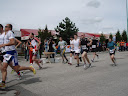 P5080049 (600 x 450).jpg