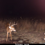Cdy00153.JPG