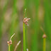 P1050388