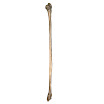 fibula_right.jpg