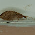 P9037714