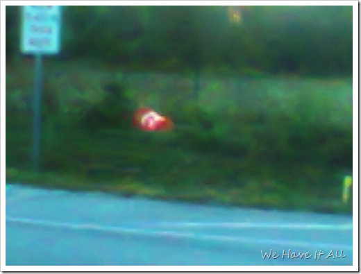 NEMO NEMO