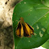 P1120444