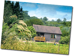 Relax in Delightful Surroundings in a Log Cabin