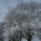 3-1-2010-072.jpg