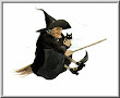 Halloween Witch Broom 1