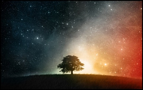 night-stars-tree-wallpaper