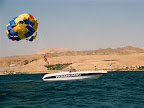 p1287320248(17).jpg