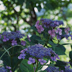 PICT1581.JPG