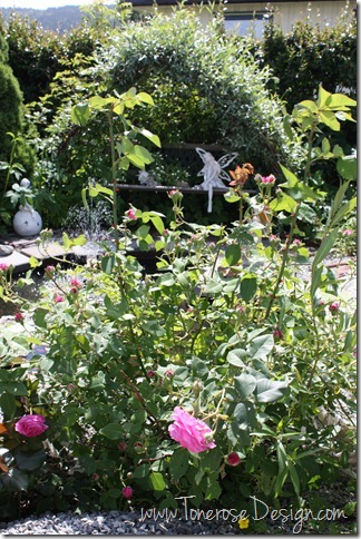 [IMG_7717_thumb%255B9%255D.jpg]