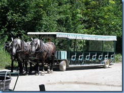 3337 Michigan Mackinac Island - Carriage Tours - three-horse hitch carriage behind Surrey Hills Carriage Museum