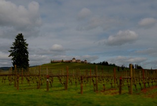 Kings Estate Winery south of Eugene