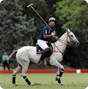 polo