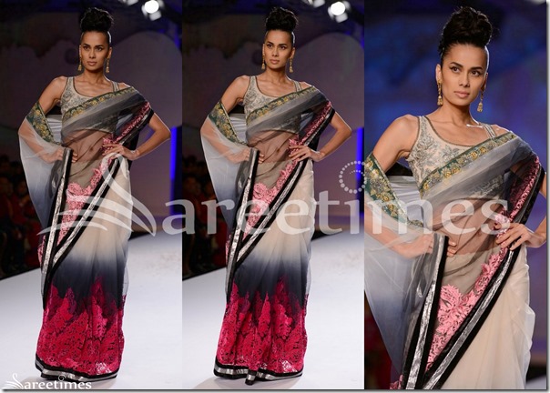 Varun_Bahl_Net_Saree Varun_Bahl_Net_Saree