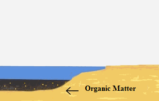 [formation1%255B5%255D.png]