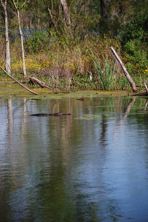 [DSC_2844%255B5%255D.jpg]