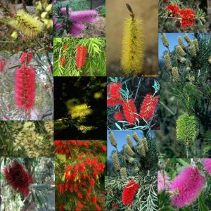 [image%255B69%255D.png]