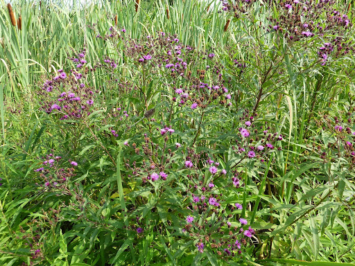 P1120248