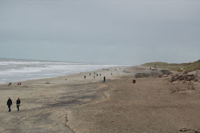 DSC_0138.JPG