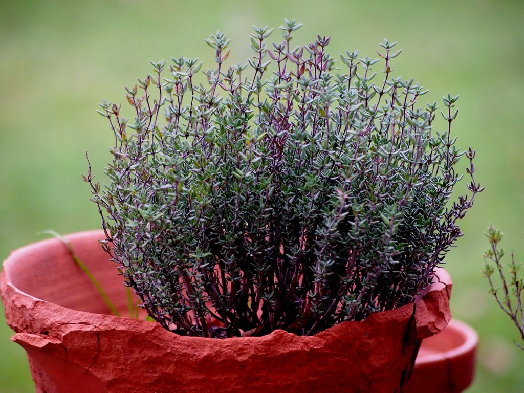 [19%2520Jan%25207%255B3%255D.jpg]