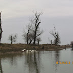 IMG_1583.JPG