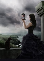 Cat Beauty And Clocks