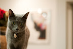 Kanji posing for the lens.
