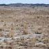 In the Gobi Desert near Liaoyuan Zhen, Gansu