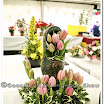 Horticulture 021.jpg