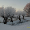 Ingezonden winterfoto's 2011-2012_82.jpg