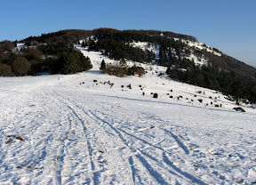 IMG_0364_resize.JPG