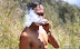 Mount_semeru_49.JPG