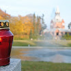 DSC_0233.jpg
