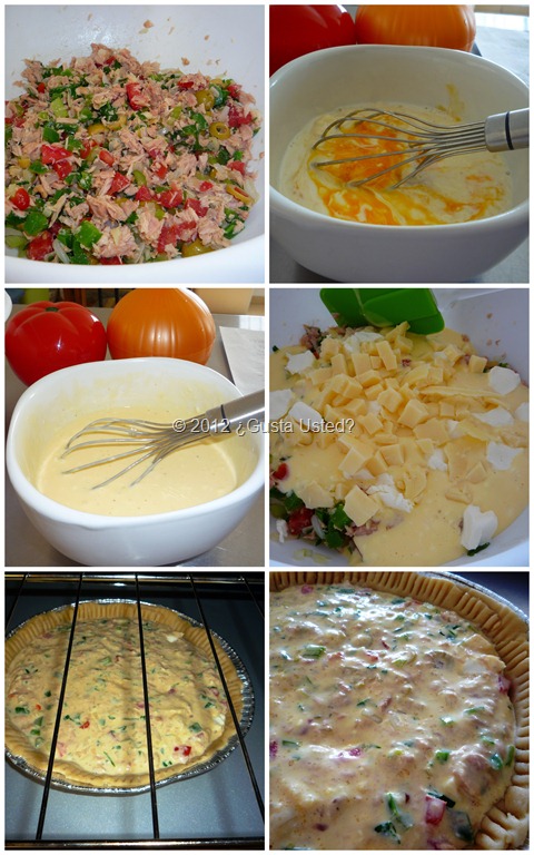 [QUICHE-DE-ATUN311.jpg]