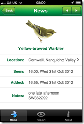 Yellow-browed Warbler Report