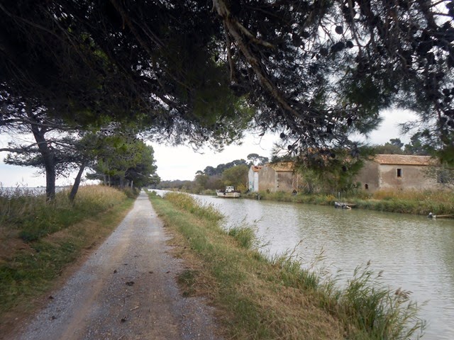 DSCN5533 DSCN5533