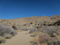 IMG_0760.JPG Photo