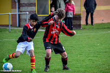 20140222 - HSC D2 - WVV D4 - 017.jpg