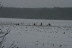  Winterhike: Fotos & Videos