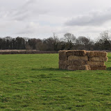 DSC_0011.jpg