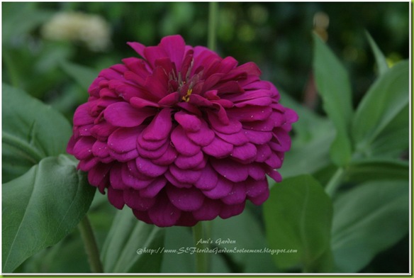 2011-07-19_00022